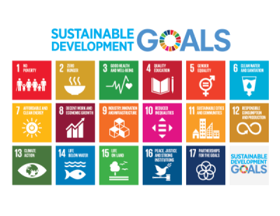 Bericht De kick van de SDG's (Sustainable Development Goals)  bekijken